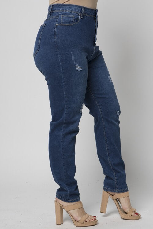 Distressed Skinny Jeans - Plus Size